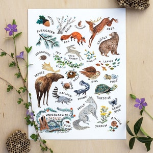 ABC Nature Alphabet Wilderness Art Print image 5