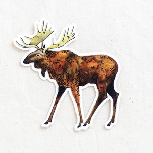 Moose Animal Sticker - Waterproof Vinyl Sticker