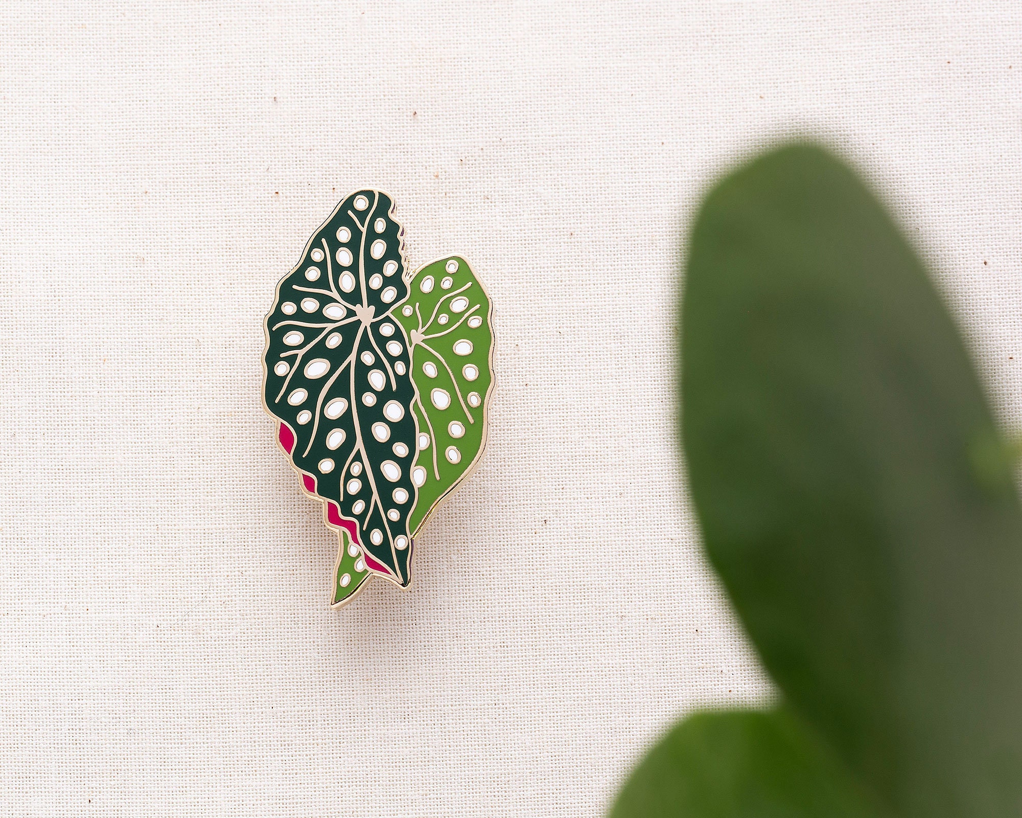 Begonia Plant Enamel Pin - Etsy