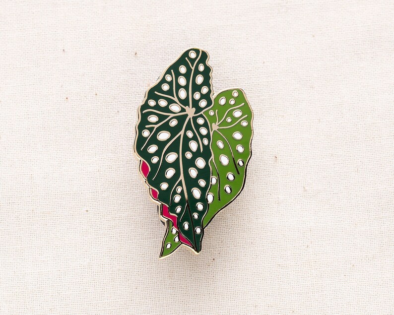 Begonia Plant Enamel Pin - Etsy