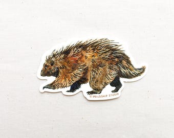 Porcupine Animal Sticker - Waterproof Vinyl Sticker