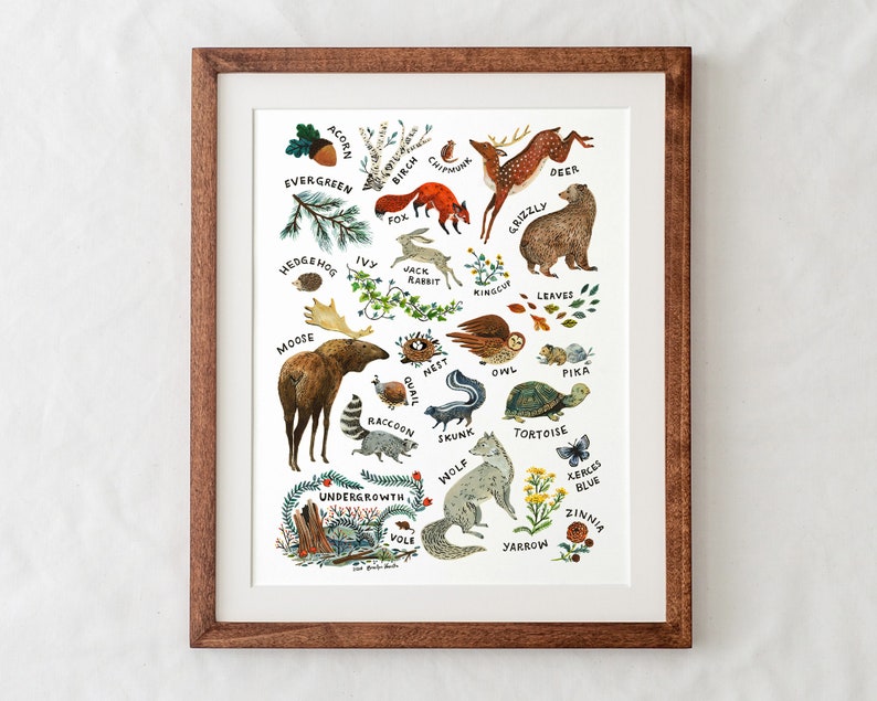 ABC Nature Alphabet Wilderness Art Print image 4