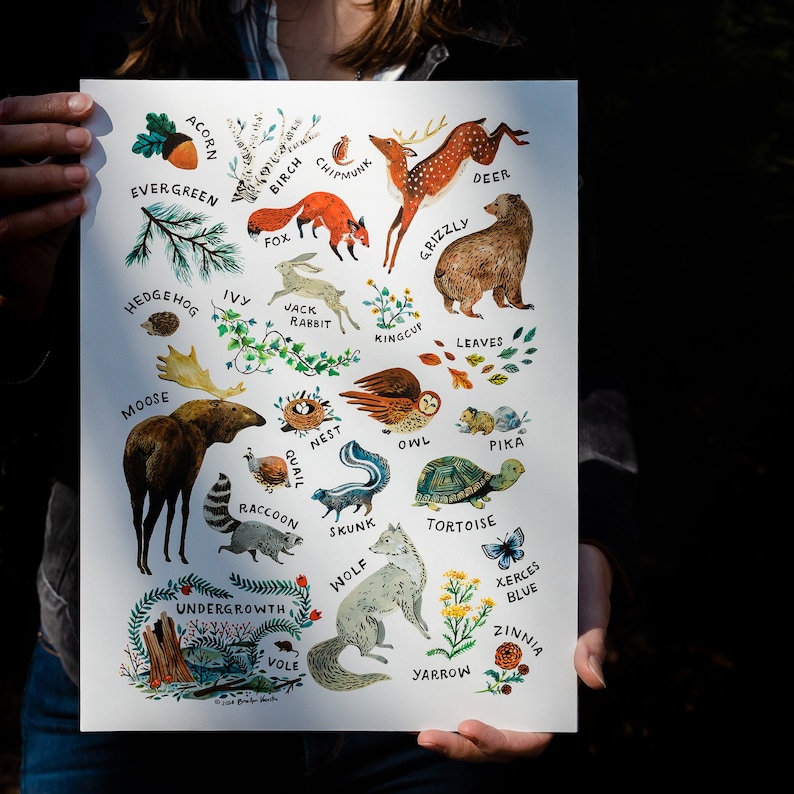 ABC Nature Alphabet Wilderness Art Print image 3
