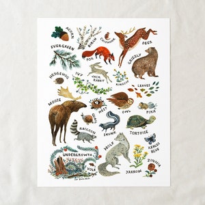 ABC Nature Alphabet Wilderness - Art Print