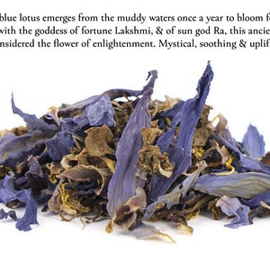 Organic Blue Lotus & Oud - Hand-Rolled Temple Grade Natural Incense Sticks