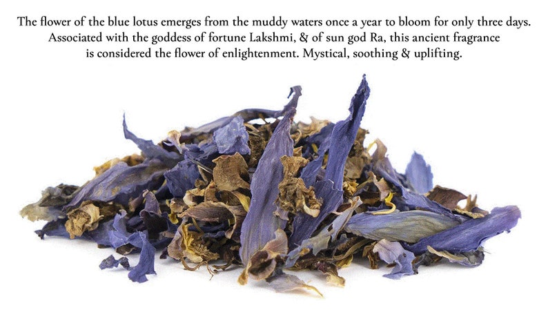 Organic Blue Lotus & Oud - Hand-Rolled Temple Grade Natural Incense Sticks