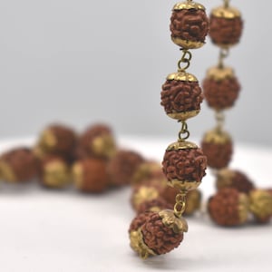 Natural Rudrakshas in Brass: Real Rudrakshas