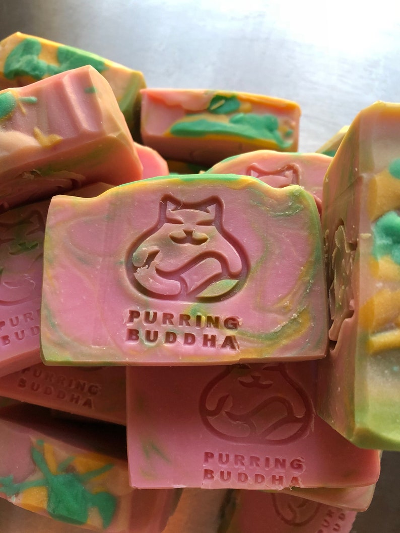 Unscented Soap. Birthday Suit. Organic Coconut Milk. | Etsy