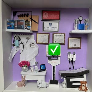 Internal Medicine/ Family Meficine Miniature Shadow Box - Free Shipping! afbeelding 2