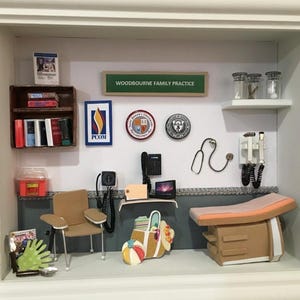 Internal Medicine/ Family Meficine Miniature Shadow Box - Free Shipping! afbeelding 3