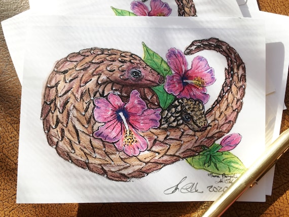 DONATION Animal Blank Notecards:  Hibiscus Pangolin