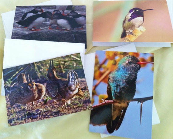 Bird Blank Photo Note Cards:  Uncommon Birds of North America 1