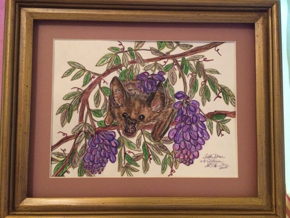 Framed Short-Tailed Fruit Bat and Wisteria Watercolor Painting