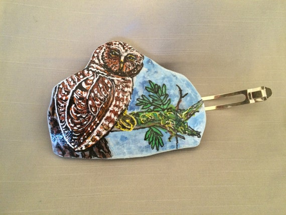 Owl Gourd Barrette:  Northern Spotted Owl
