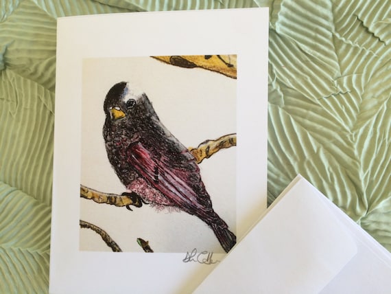 Bird Blank Notecards: Rosy Finch