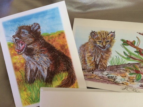 Animal Blank Notecards: Bobcat Kitten and Kit Fox Pup