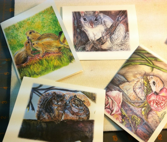 Squirrel Blank Notecards:  Squirrel Series