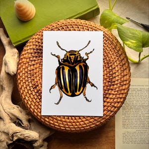 Puede incluir: Ilustración detallada de un escarabajo con un patrón de rayas negras y amarillas. La obra de arte está sobre una tarjeta blanca, colocada sobre una bandeja de mimbre tejido. La imagen se captura en un entorno natural con un libro verde y una concha.