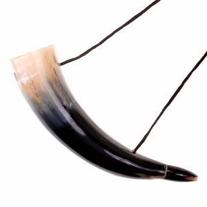 Viking horn instrument -  Österreich