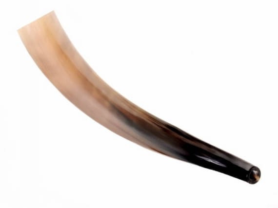 Viking Blowing Horn 04 Signalhorn 