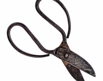 Medieval Taylor Scissors - [16 Schere Taylor/ H1 A-9]
