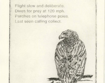 Red-tailed Hawk- original print