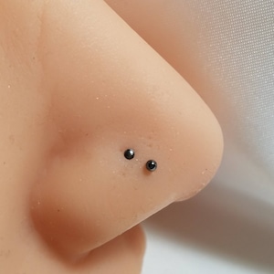 May include: Two small black nose rings, one on each side of the nose bridge.