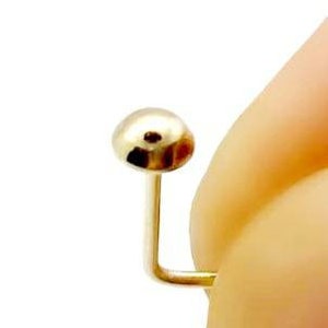 May include: A gold nose stud with a small round ball at the end.