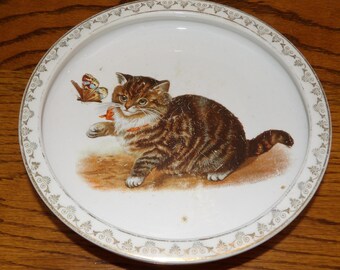 BABY FEEDING DISH Vintage Striped Cat Butterfly Top Bottom Rim Liverpool Ohio