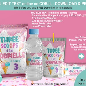 EDITABLE Icecream 3rd Birthday Party Favors Bundle Set of 4 Templates. Ice Cream Printable Treats Chip Bag Water Juice Chocolate Label K037