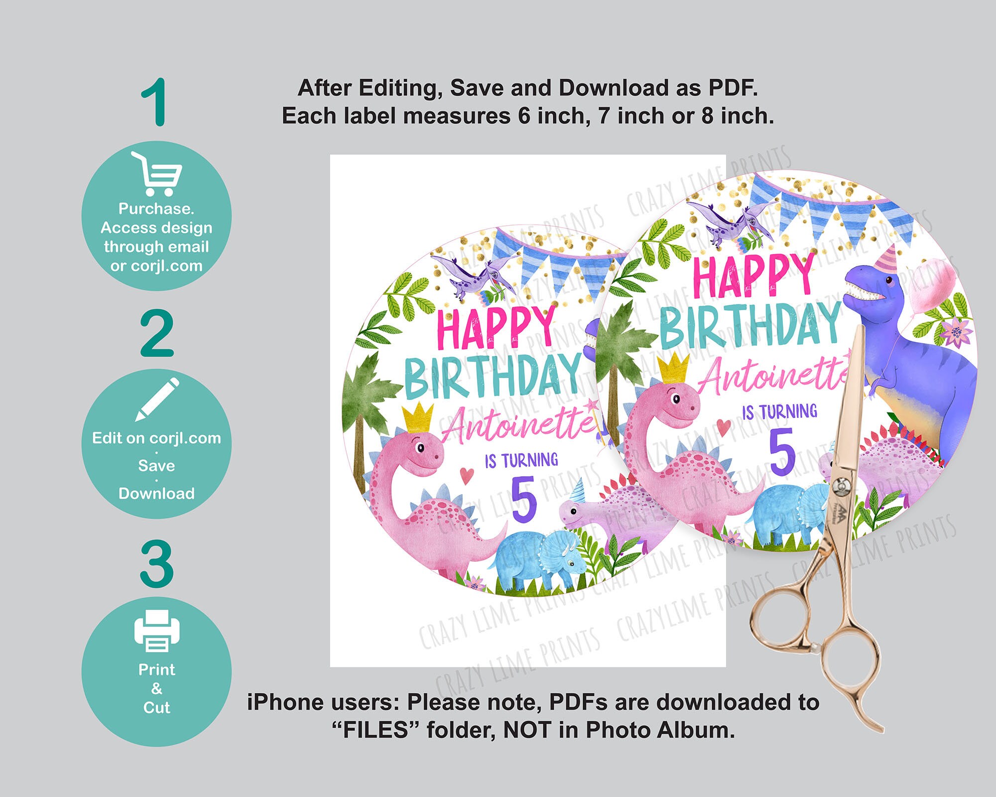 Editable Dinosaur Party Plate Label Template. Printable Pink Etsy