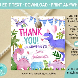 EDITABLE Girl Dinosaur Party Favor Tag. Personalised Pink Dino Party Thank You Gift Tag Label. 2 and 3 inch Square Printable. Corjl K012