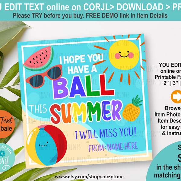 Beach Ball Gift Tag. Hope You Have A Ball This Summer Editable Template. Personalised Name End Of School Year Summer Break Label. Corjl S030