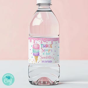 Peut inclure: Une bouteille d'eau en plastique transparente avec une étiquette rose, blanche et bleue qui dit "Three Scoops of Fun! Scarlett's 3rd Birthday". L'étiquette représente un cornet de glace dessin animé avec des pépites.