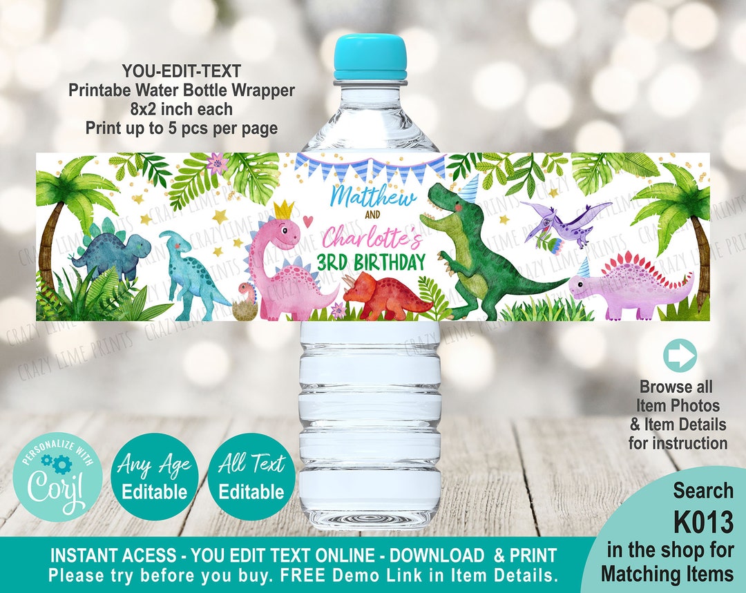 EDITABLE Dinosaur Siblings Boy &amp; Girl Water Bottle Label Template ...