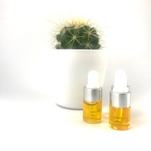 May include: Two small glass bottles with silver caps and droppers filled with a yellow liquid. The bottles are sitting on a white surface in front of a potted cactus.
