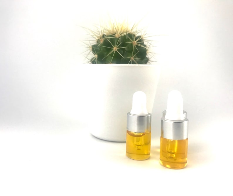 May include: Two small glass bottles with silver caps and droppers filled with a yellow liquid. The bottles are sitting on a white surface in front of a potted cactus.