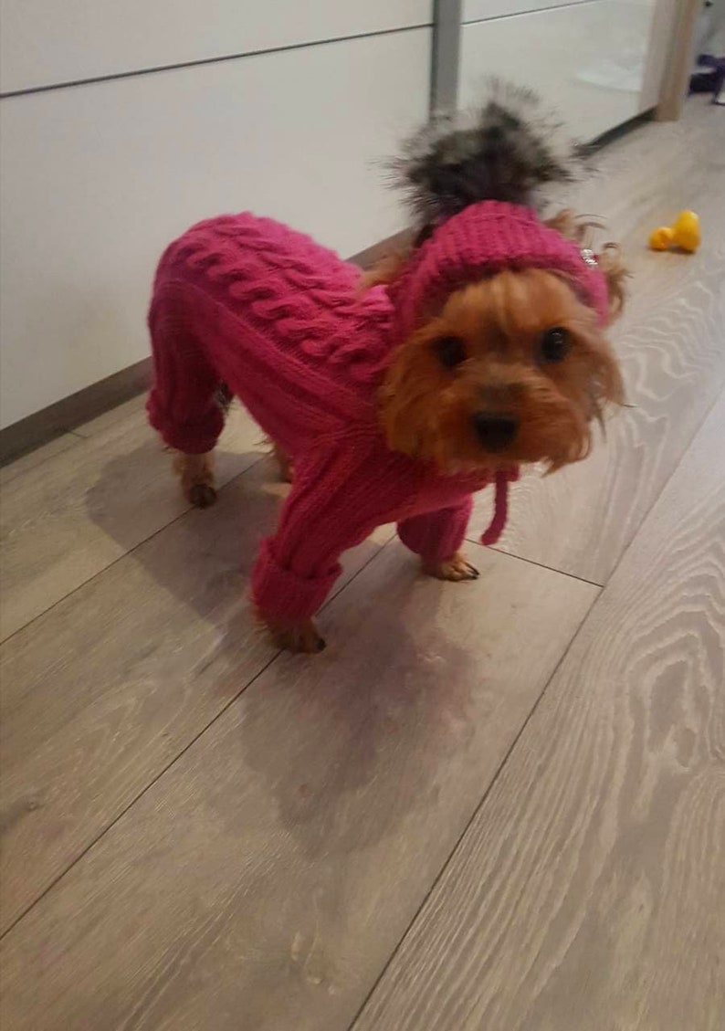 Cable Knitted Dog Sweater Dog Pullover Designer Dog Etsy