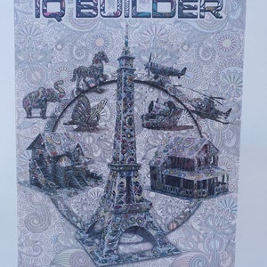 IQ Builder Puzzle Set