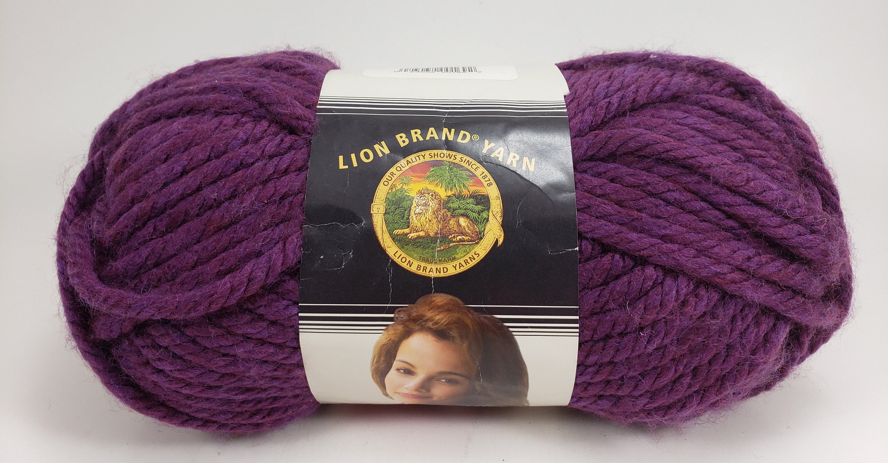 Lion Brand Hometown USA Yarn - Louisville Julep
