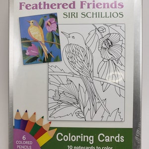 Siri Schillos Feathered Friends Kolorowanki Karty w Puszce