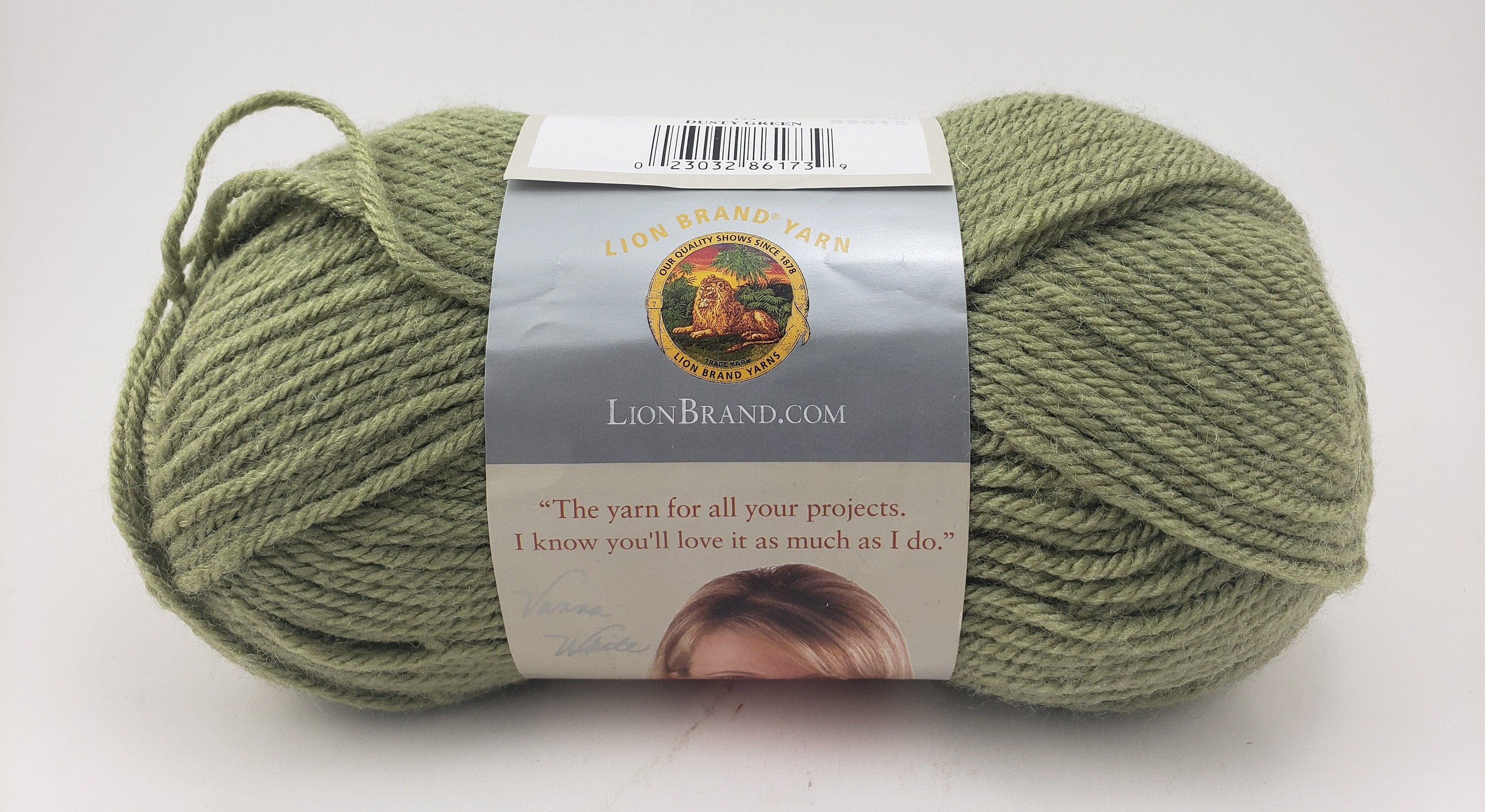 Lion Brand Vanna's Choice # 173 "Dusty Green" Yarn - 3 Skeins