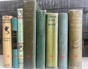 Grün/Blau Vintage Bücher