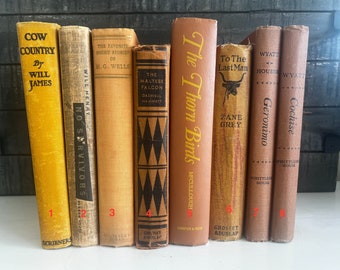 Tan/Gelbe Vintage Bücher