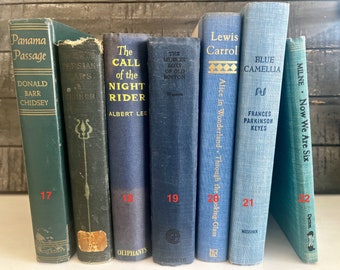 Blaue Vintage Bücher