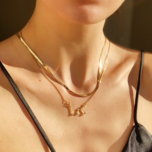 Sky High - Leo Zodica ketting. Gepersonaliseerde cadeau. Sterrenbeeld ketting. Gepersonaliseerde sieraden. Cadeau voor haar. Verjaardagscadeau. Leeuw teken