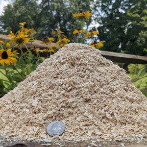 2.5 pound&#39;s of Fresh Natural Very Aromatic Pine Sawdust. Kiln Dried. Chemical Free.