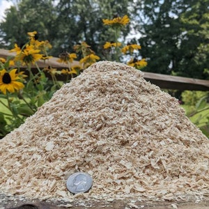 FREE SHIPPING 1.5 pound's of Fresh Natural Very Aromatic Pine Sawdust. Kiln Dried. Chemical Free.