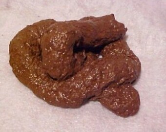 dog poop soap