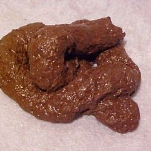 Real Poop - Etsy